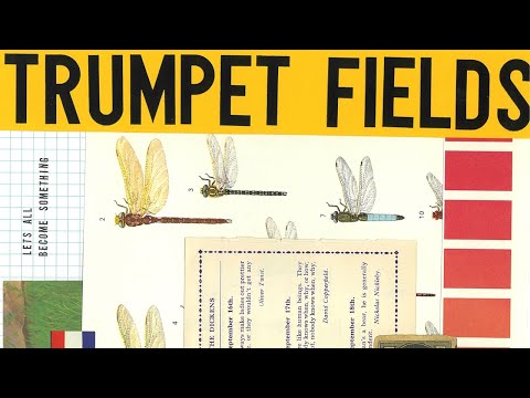 LABS Trumpet Fields — FREE Trumpet Drones